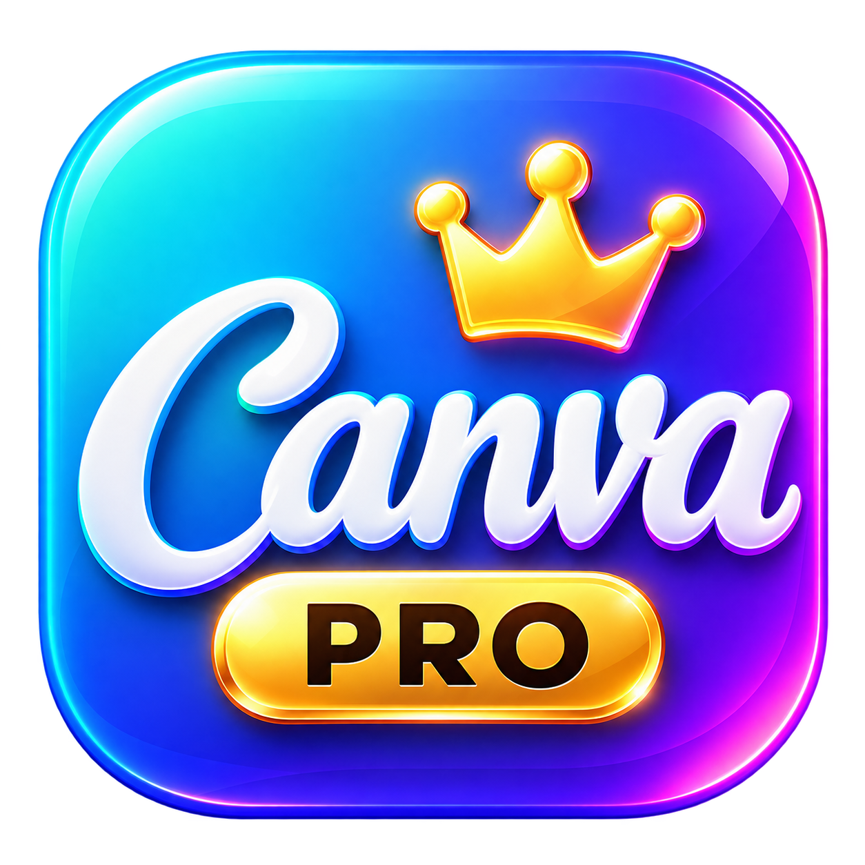 CANVA PRO 1 NĂM